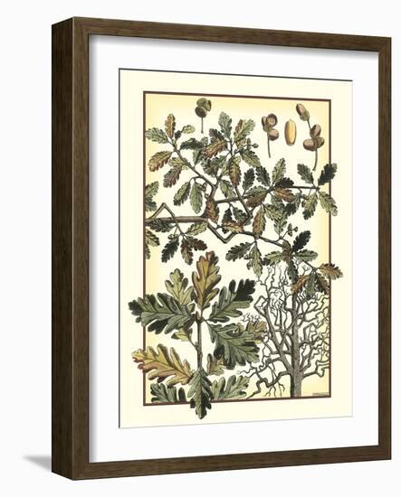 Arts and Crafts Oak-M.P. Verneuil-Framed Art Print