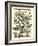 Arts and Crafts Oak-M.P. Verneuil-Framed Art Print