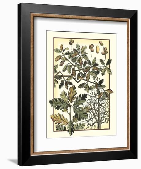 Arts and Crafts Oak-M.P. Verneuil-Framed Art Print