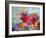 arttlong-Richard Wallich-Framed Giclee Print