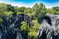 Petit Tsingy De Bemaraha, Madagascar Wilderness Landscape-Artush-Premier Image Canvas