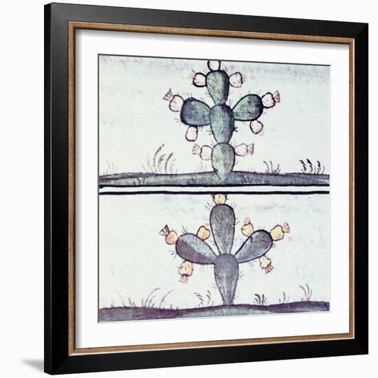 Artwork Depicting a Cactus-null-Framed Giclee Print