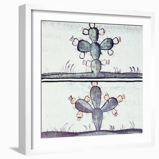 Artwork Depicting a Cactus-null-Framed Giclee Print