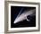 Artwork of a Comet Passing the Earth-Joe Tucciarone-Framed Photographic Print