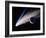 Artwork of a Comet Passing the Earth-Joe Tucciarone-Framed Photographic Print