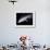 Artwork of a Comet Passing the Earth-Joe Tucciarone-Framed Photographic Print displayed on a wall