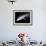 Artwork of a Comet Passing the Earth-Joe Tucciarone-Framed Photographic Print displayed on a wall