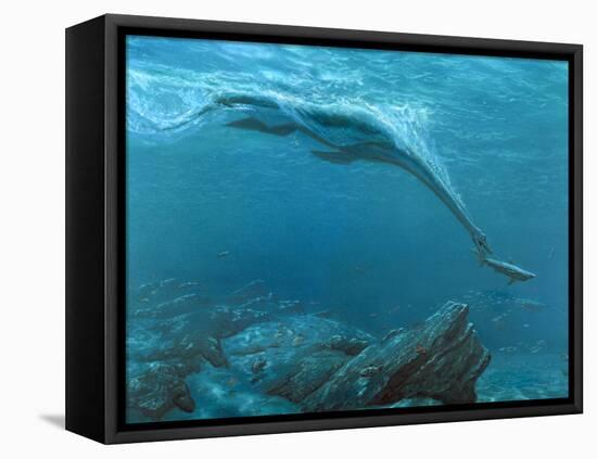 Artwork of a Plesiosaur Dinosaur Hunting-Chris Butler-Framed Premier Image Canvas