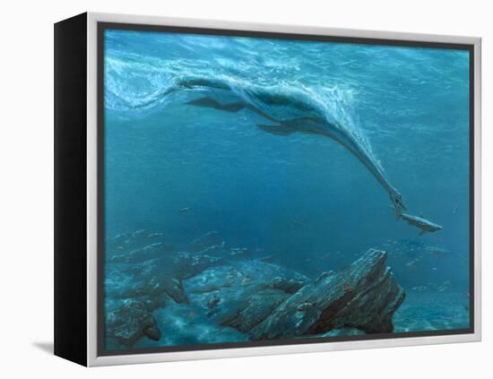 Artwork of a Plesiosaur Dinosaur Hunting-Chris Butler-Framed Premier Image Canvas