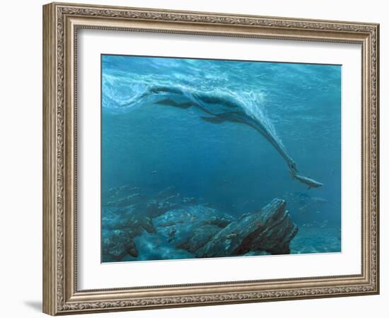 Artwork of a Plesiosaur Dinosaur Hunting-Chris Butler-Framed Photographic Print