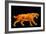 Artwork of a Sabre-toothed Cat (Smilodon Sp.)-Joe Tucciarone-Framed Photographic Print