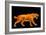 Artwork of a Sabre-toothed Cat (Smilodon Sp.)-Joe Tucciarone-Framed Photographic Print