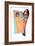 Artwork of An Anorexic Woman Looking In a Mirror-Paul Brown-Framed Photographic Print