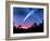 Artwork of Comet Hale-Bopp Over a Tree Landscape-Chris Butler-Framed Photographic Print