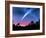 Artwork of Comet Hale-Bopp Over a Tree Landscape-Chris Butler-Framed Photographic Print