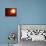 Artwork of Exoplanets around Nearby Star-null-Photographic Print displayed on a wall