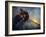 Artwork of Formation of the Solar System-Chris Butler-Framed Photographic Print