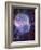 Artwork of Human Head with Brain & EEG Brainwaves-Mehau Kulyk-Framed Photographic Print