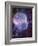 Artwork of Human Head with Brain & EEG Brainwaves-Mehau Kulyk-Framed Photographic Print