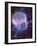 Artwork of Human Head with Brain & EEG Brainwaves-Mehau Kulyk-Framed Photographic Print