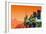 Artwork of Mars Terraforming Greenhouse-Julian Baum-Framed Photographic Print