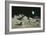 Artwork of Moon's Surface with Earth In the Sky-Ludek Pesek-Framed Photographic Print