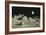 Artwork of Moon's Surface with Earth In the Sky-Ludek Pesek-Framed Photographic Print