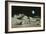 Artwork of Moon's Surface with Earth In the Sky-Ludek Pesek-Framed Photographic Print
