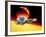 Artwork of Siriko In Orbit.-Julian Baum-Framed Photographic Print