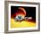 Artwork of Siriko In Orbit.-Julian Baum-Framed Photographic Print