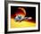 Artwork of Siriko In Orbit.-Julian Baum-Framed Photographic Print