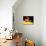 Artwork of Siriko In Orbit.-Julian Baum-Mounted Photographic Print displayed on a wall