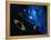 Artwork of Solar System And Comet-Detlev Van Ravenswaay-Framed Premier Image Canvas