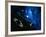 Artwork of Solar System And Comet-Detlev Van Ravenswaay-Framed Photographic Print