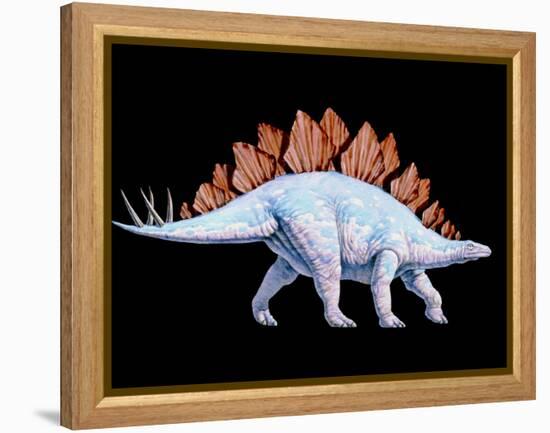 Artwork of Stegosaurus Dinosaur, Stegosaurus Sp.-Joe Tucciarone-Framed Premier Image Canvas