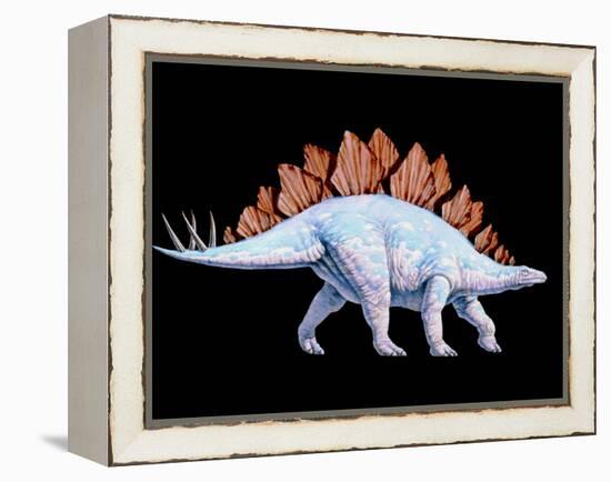 Artwork of Stegosaurus Dinosaur, Stegosaurus Sp.-Joe Tucciarone-Framed Premier Image Canvas