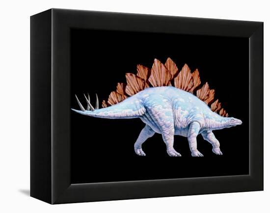 Artwork of Stegosaurus Dinosaur, Stegosaurus Sp.-Joe Tucciarone-Framed Premier Image Canvas