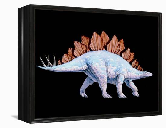 Artwork of Stegosaurus Dinosaur, Stegosaurus Sp.-Joe Tucciarone-Framed Premier Image Canvas