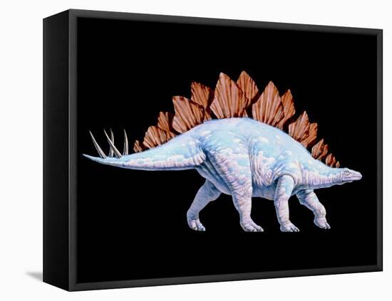 Artwork of Stegosaurus Dinosaur, Stegosaurus Sp.-Joe Tucciarone-Framed Premier Image Canvas