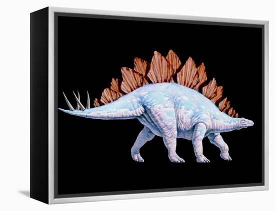 Artwork of Stegosaurus Dinosaur, Stegosaurus Sp.-Joe Tucciarone-Framed Premier Image Canvas