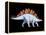 Artwork of Stegosaurus Dinosaur, Stegosaurus Sp.-Joe Tucciarone-Framed Premier Image Canvas