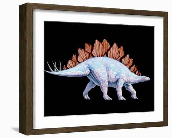 Artwork of Stegosaurus Dinosaur, Stegosaurus Sp.-Joe Tucciarone-Framed Photographic Print