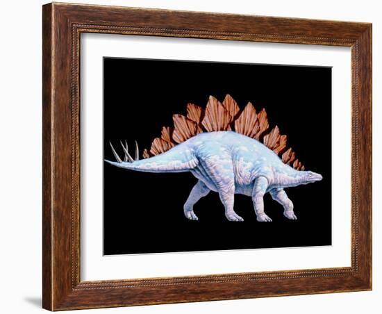 Artwork of Stegosaurus Dinosaur, Stegosaurus Sp.-Joe Tucciarone-Framed Photographic Print