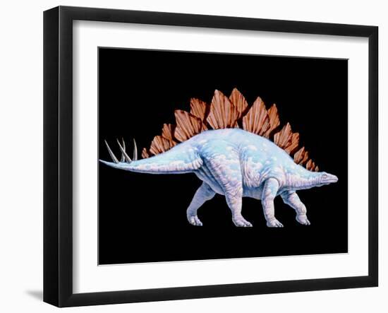 Artwork of Stegosaurus Dinosaur, Stegosaurus Sp.-Joe Tucciarone-Framed Photographic Print