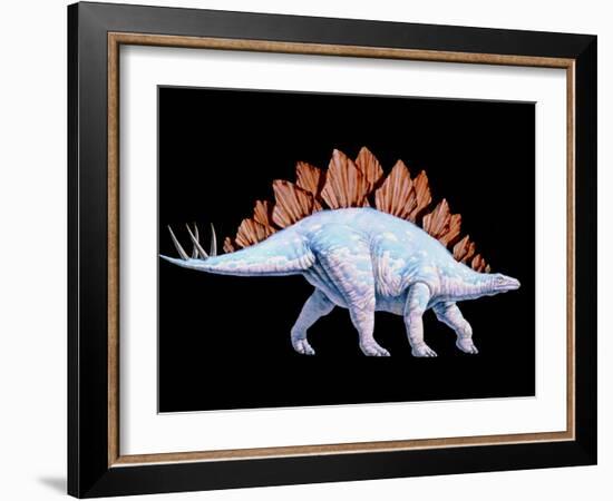 Artwork of Stegosaurus Dinosaur, Stegosaurus Sp.-Joe Tucciarone-Framed Photographic Print