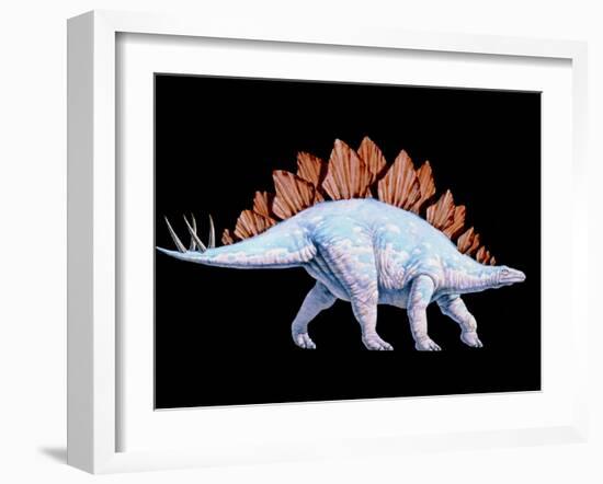 Artwork of Stegosaurus Dinosaur, Stegosaurus Sp.-Joe Tucciarone-Framed Photographic Print