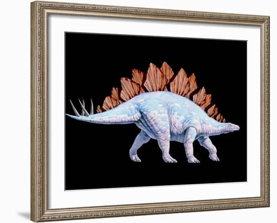 Artwork of Stegosaurus Dinosaur, Stegosaurus Sp.-Joe Tucciarone-Framed Photographic Print