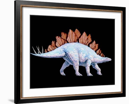 Artwork of Stegosaurus Dinosaur, Stegosaurus Sp.-Joe Tucciarone-Framed Photographic Print