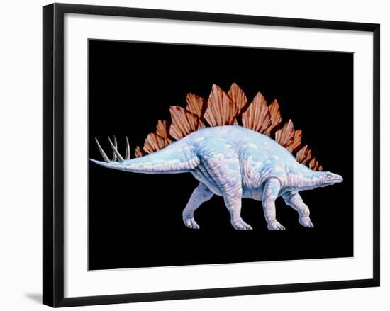 Artwork of Stegosaurus Dinosaur, Stegosaurus Sp.-Joe Tucciarone-Framed Photographic Print