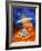 Artwork of Sun And Planets of Solar System-Julian Baum-Framed Photographic Print